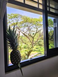 Avenue South Residence (D3), Apartment #460723391